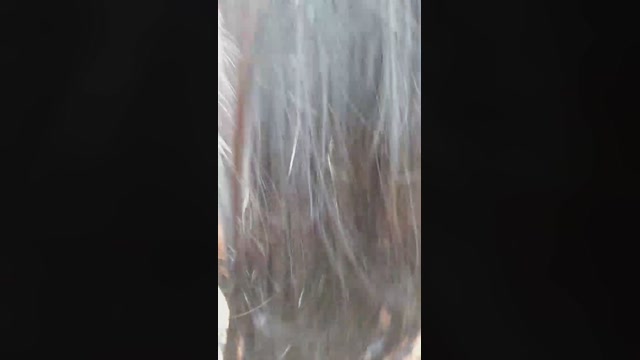giselxxx_hot  17-04-2023